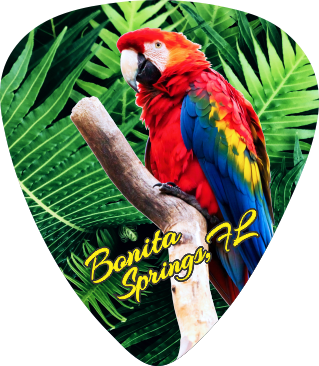 Red Macaw