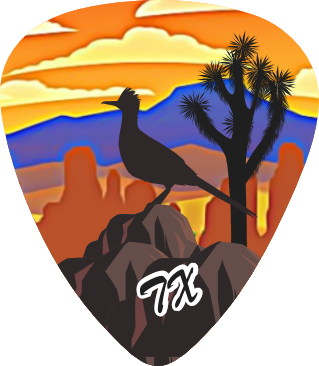 Roadrunner