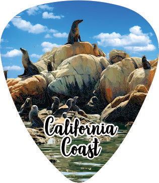 Seals