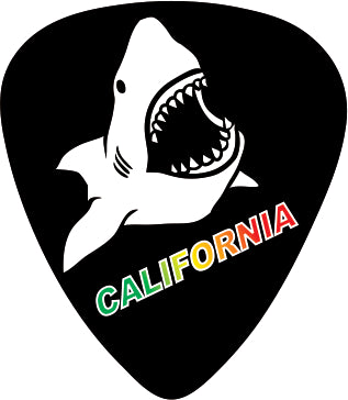 Shark Bite