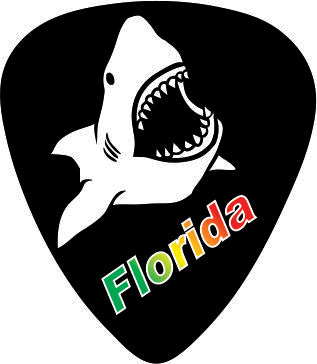 Shark Bite