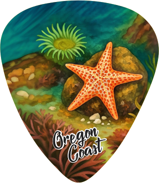 Starfish 3