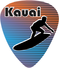 Surfer 2