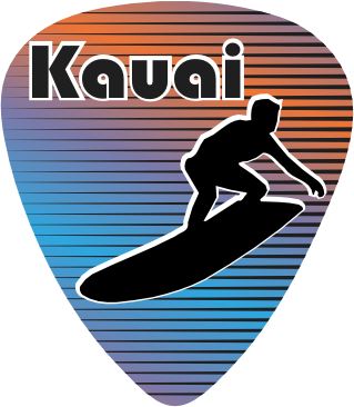 Surfer 2