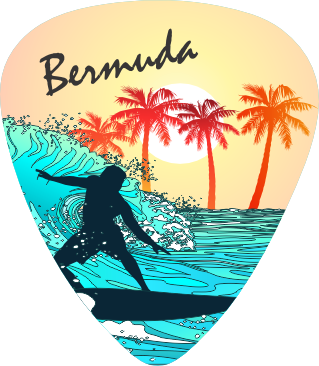 Surfer Sun