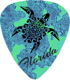Teal Turtle