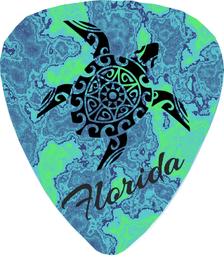Teal Turtle