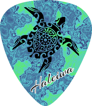 Teal Turtle