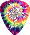Tie Dye Turtle