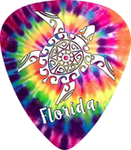 Tie Dye Turtle