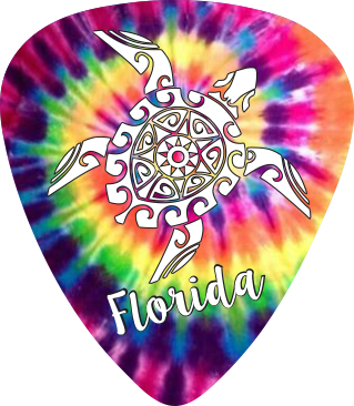 Tie Dye Turtle