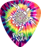 Tie Dye Turtle