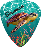 Turtle Dream