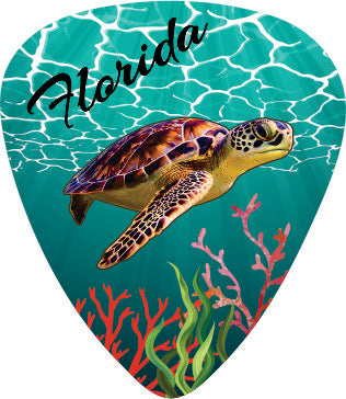 Turtle Dream