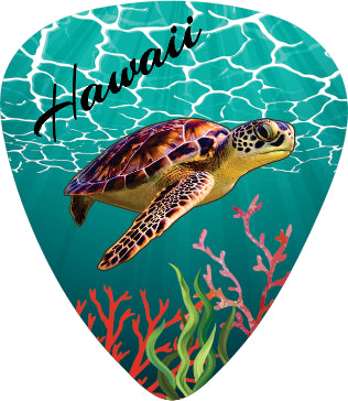 Turtle Dream