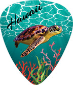 Turtle Dream