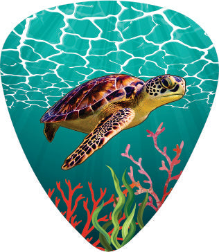 Turtle Dream