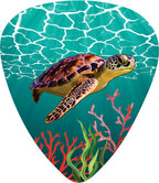 Turtle Dream